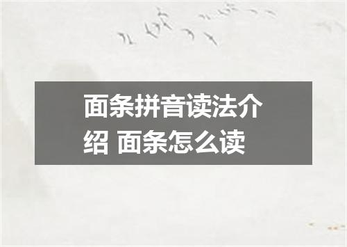 面条拼音读法介绍 面条怎么读