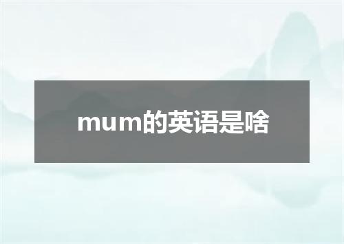 mum的英语是啥