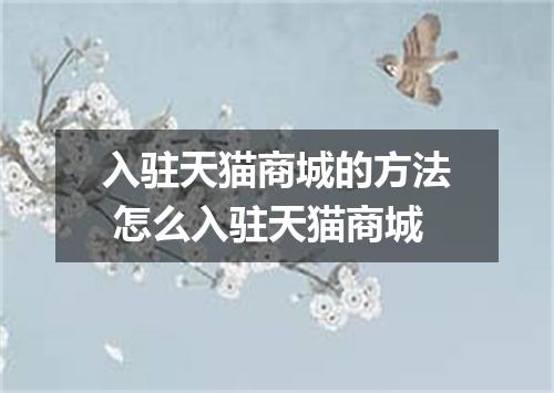 入驻天猫商城的方法 怎么入驻天猫商城