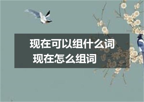 现在可以组什么词 现在怎么组词