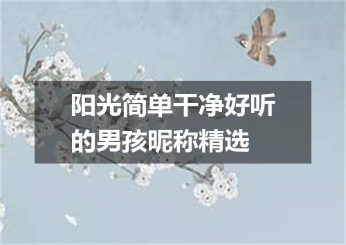 阳光简单干净好听的男孩昵称精选