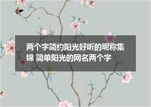 两个字简约阳光好听的昵称集锦 简单阳光的网名两个字