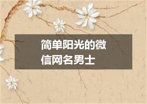 简单阳光的微信网名男士