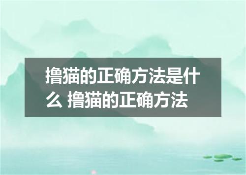 撸猫的正确方法是什么 撸猫的正确方法