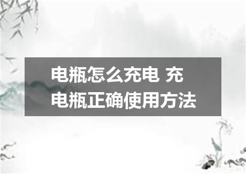 电瓶怎么充电 充电瓶正确使用方法
