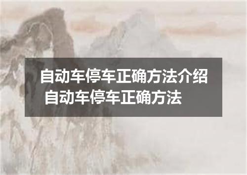 自动车停车正确方法介绍 自动车停车正确方法