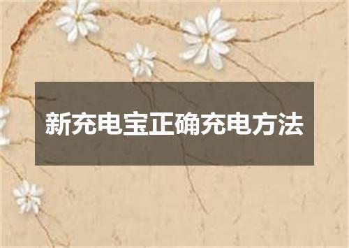 新充电宝正确充电方法
