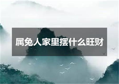 属兔人家里摆什么旺财