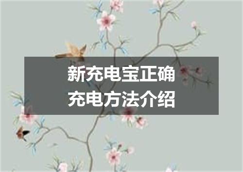 新充电宝正确充电方法介绍