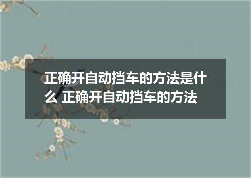 正确开自动挡车的方法是什么 正确开自动挡车的方法
