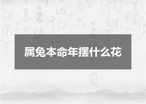 属兔本命年摆什么花