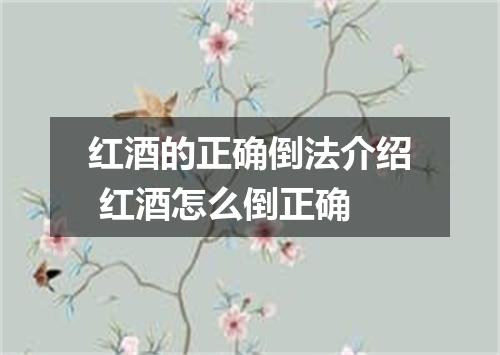 红酒的正确倒法介绍 红酒怎么倒正确