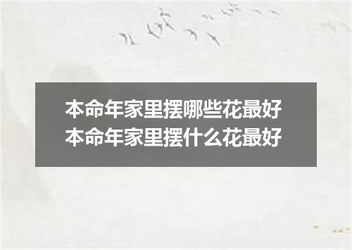 本命年家里摆哪些花最好 本命年家里摆什么花最好