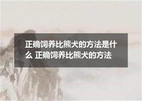 正确饲养比熊犬的方法是什么 正确饲养比熊犬的方法