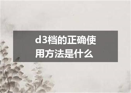 d3档的正确使用方法是什么