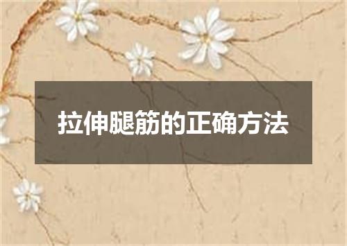 拉伸腿筋的正确方法