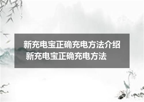 新充电宝正确充电方法介绍 新充电宝正确充电方法