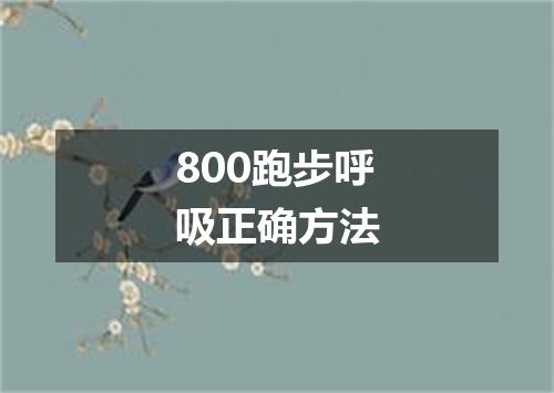 800跑步呼吸正确方法