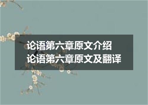 论语第六章原文介绍 论语第六章原文及翻译