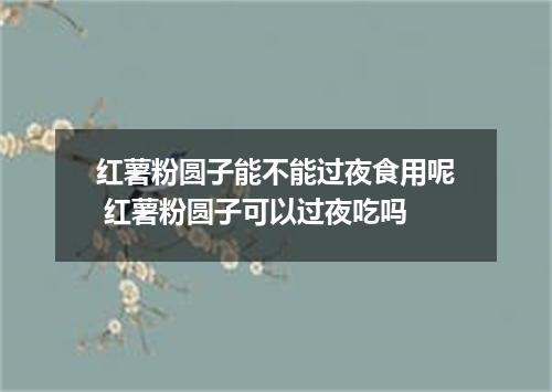 红薯粉圆子能不能过夜食用呢 红薯粉圆子可以过夜吃吗
