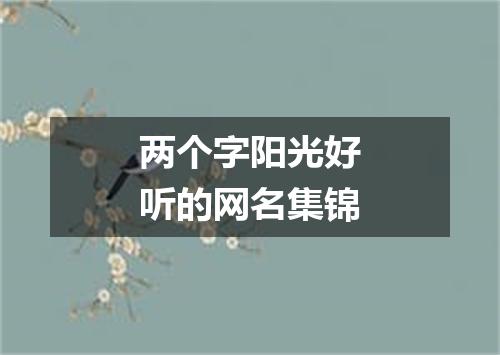两个字阳光好听的网名集锦