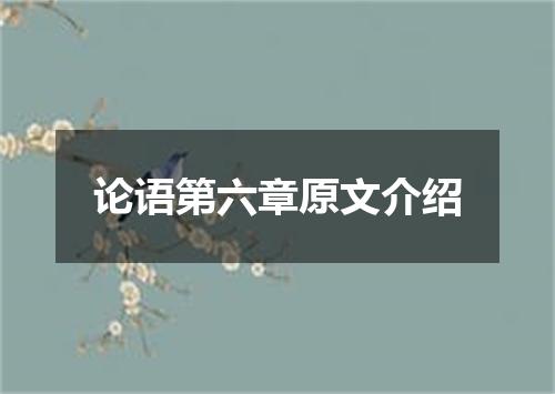 论语第六章原文介绍