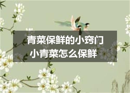 青菜保鲜的小窍门 小青菜怎么保鲜
