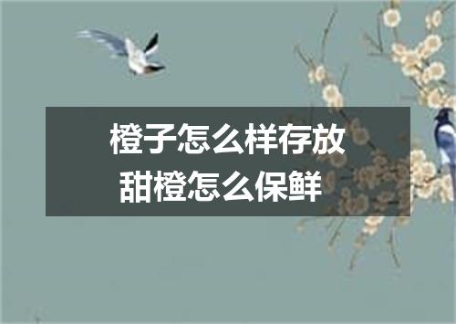 橙子怎么样存放 甜橙怎么保鲜