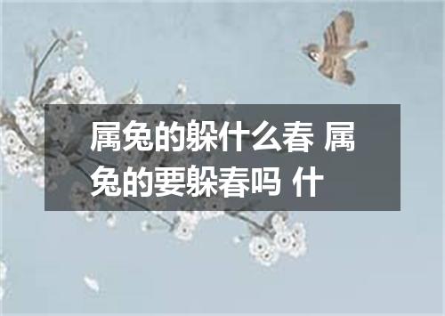 属兔的躲什么春 属兔的要躲春吗 什