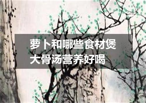 萝卜和哪些食材煲大骨汤营养好喝