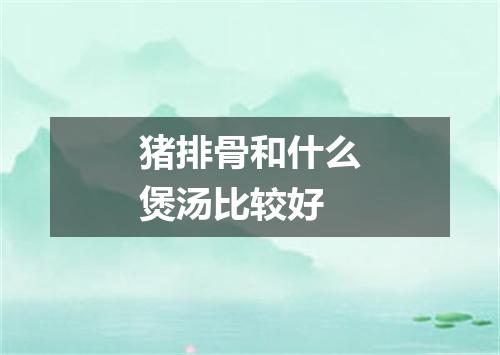 猪排骨和什么煲汤比较好