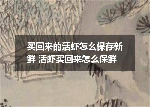 买回来的活虾怎么保存新鲜 活虾买回来怎么保鲜