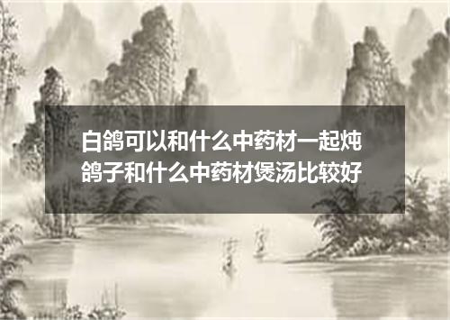 白鸽可以和什么中药材一起炖 鸽子和什么中药材煲汤比较好