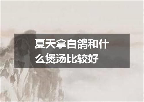 夏天拿白鸽和什么煲汤比较好