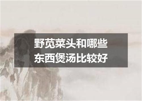 野苋菜头和哪些东西煲汤比较好