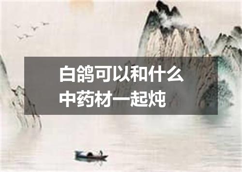 白鸽可以和什么中药材一起炖