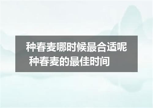 种春麦哪时候最合适呢 种春麦的最佳时间