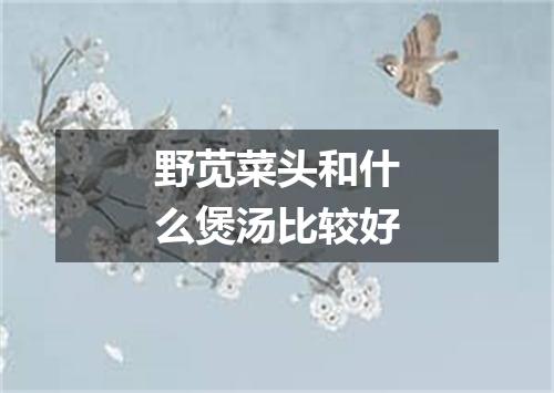 野苋菜头和什么煲汤比较好