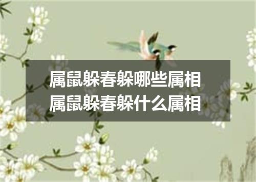 属鼠躲春躲哪些属相 属鼠躲春躲什么属相