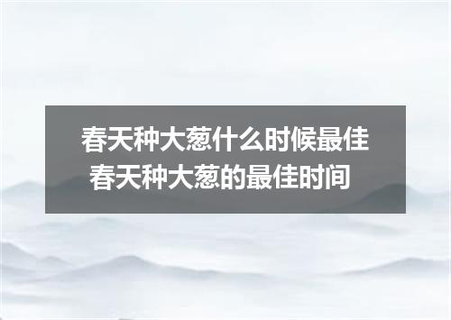 春天种大葱什么时候最佳 春天种大葱的最佳时间