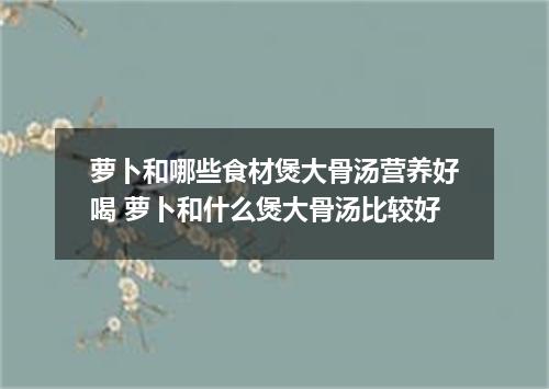 萝卜和哪些食材煲大骨汤营养好喝 萝卜和什么煲大骨汤比较好