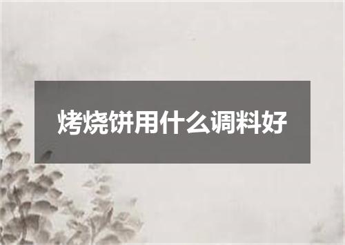 烤烧饼用什么调料好