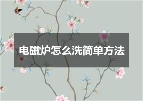 电磁炉怎么洗简单方法