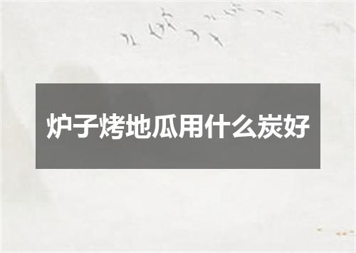 炉子烤地瓜用什么炭好