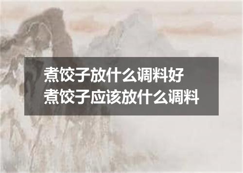 煮饺子放什么调料好 煮饺子应该放什么调料