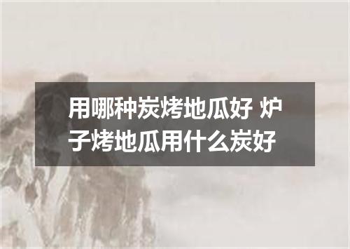 用哪种炭烤地瓜好 炉子烤地瓜用什么炭好