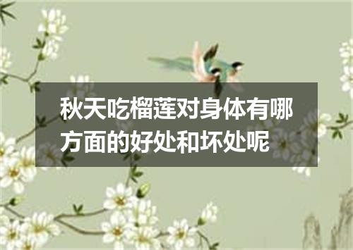 秋天吃榴莲对身体有哪方面的好处和坏处呢