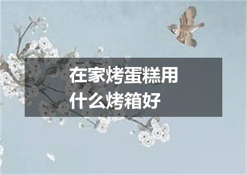 在家烤蛋糕用什么烤箱好