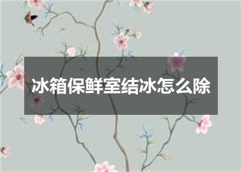 冰箱保鲜室结冰怎么除