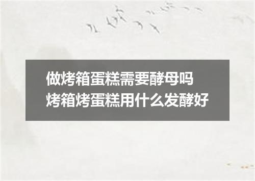 做烤箱蛋糕需要酵母吗 烤箱烤蛋糕用什么发酵好